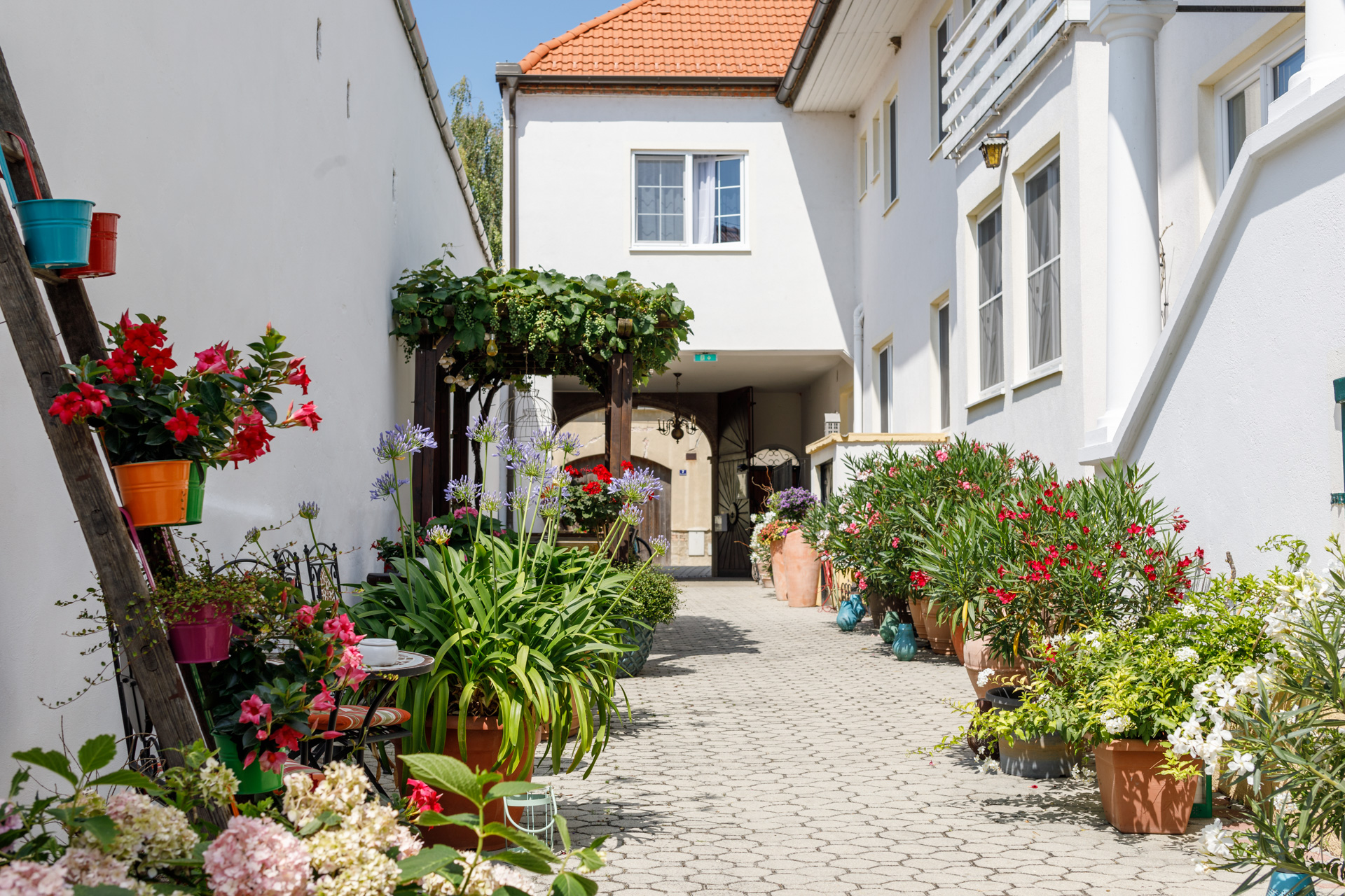 Pension Laubenhof - Mörbisch am See